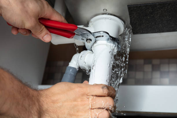 Best Water damage cleanup near me  in First Mesa, AZ