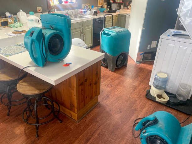 Professional Water damage restoration in First Mesa, AZ
