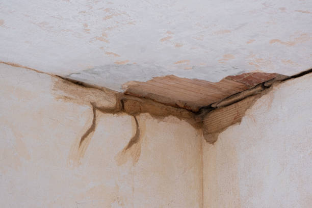 Best Carpet water damage restoration  in First Mesa, AZ