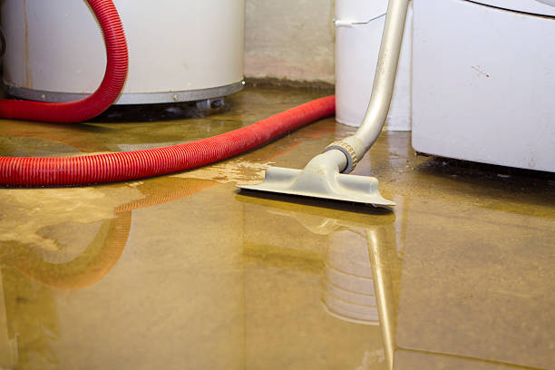 Best 24-hour water damage restoration  in First Mesa, AZ