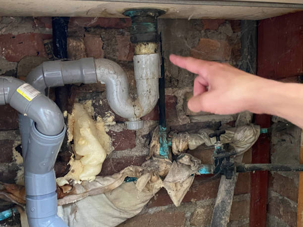 Best Flooded house restoration  in First Mesa, AZ