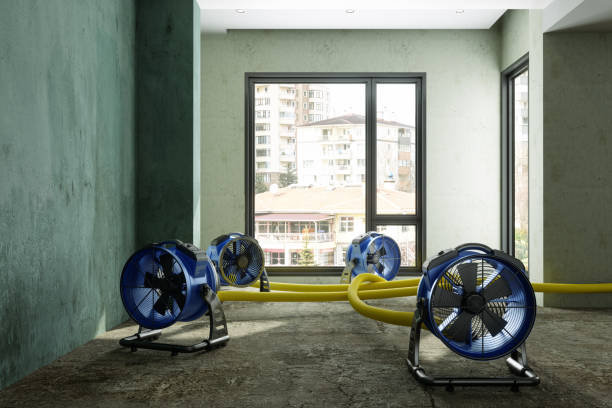 Best Emergency water damage restoration  in First Mesa, AZ