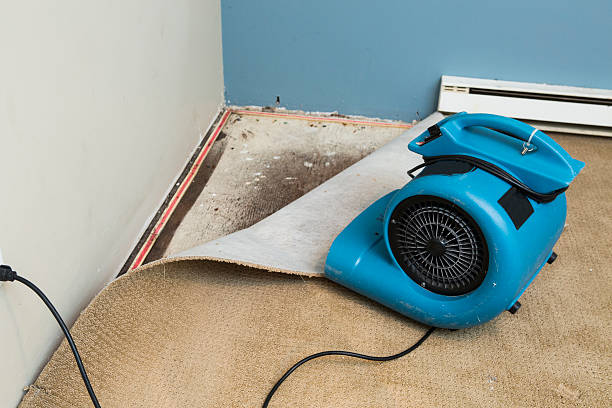 Best Carpet water damage restoration  in First Mesa, AZ