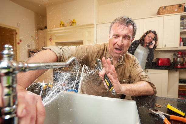 Best Local water damage restoration  in First Mesa, AZ